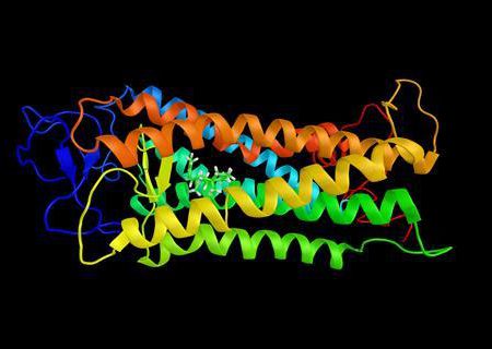 بررسی تغییرات مغزی عامل صرع به کمک پروتئینی که با نور غیرفعال می‌شود!